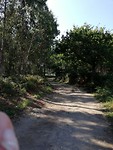 IMG_20190709_103241