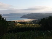 IMG_20190709_082742