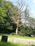 IMG_20200622_140123