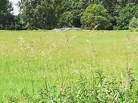 IMG_20200622_120751