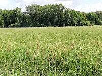 IMG_20200622_120741