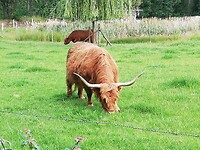 IMG_20200622_113807