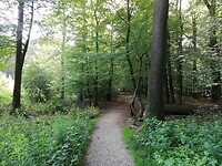 IMG_20200622_090920