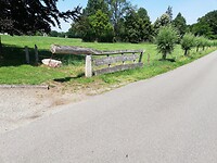 IMG_20200623_122742