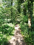 IMG_20200623_111157