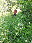 IMG_20200623_105234