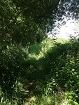 IMG_20200623_104408
