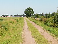 IMG_20200623_090425