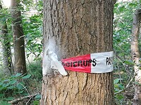 IMG_20200623_082539