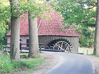 IMG_20200624_060350