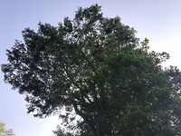IMG_20200625_185406