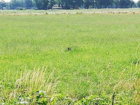 IMG_20200625_111033