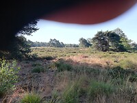 IMG_20200625_083323