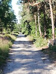 IMG_20200625_083259