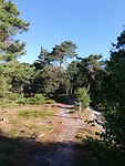 IMG_20200625_082633