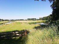 IMG_20200624_102656