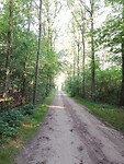 IMG_20200624_065733