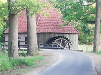 IMG_20200624_060351