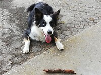 IMG_20200623_203912