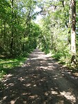 IMG_20200625_114130