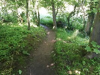 IMG_20210530_112644