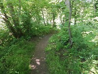 IMG_20210530_112641