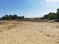 IMG_20210531_160616