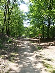 IMG_20210531_150848