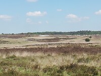 IMG_20210531_141918
