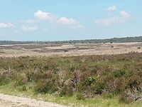 IMG_20210531_141628