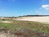 IMG_20210531_135424