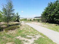 IMG_20210531_134135