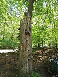 IMG_20210531_133422