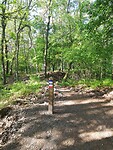 IMG_20210531_082953