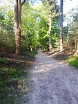 IMG_20210531_081751