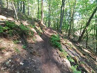 IMG_20210531_080728
