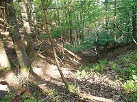 IMG_20210531_080710