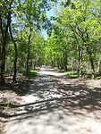 IMG_20210601_123045