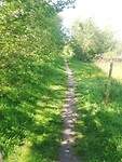 IMG_20210602_102330