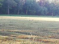 IMG_20210602_071159