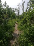 IMG_20210603_151629
