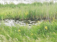 IMG_20210603_124318