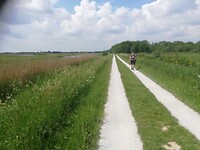 IMG_20210603_123935