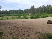 IMG_20210603_105017