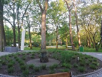IMG_20210602_202206