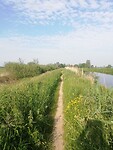 IMG_20210604_082528