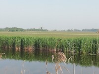 IMG_20210604_082457