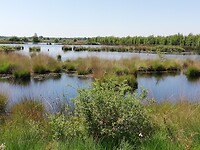 IMG_20210616_140010