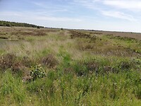 IMG_20210616_133846