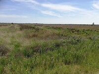IMG_20210616_133844